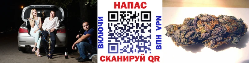 Купить закладки  Югорск  Бошки марихуана индика 